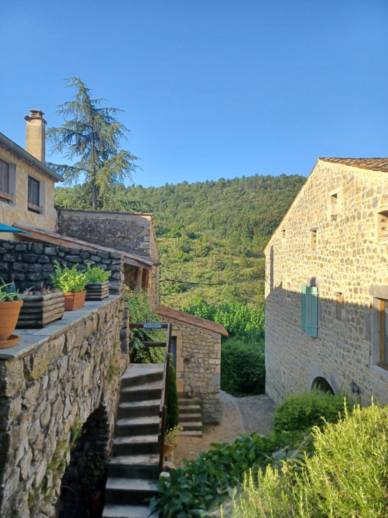 Gites Du Domaine De Serre Long Saint-Maurice-dʼIbie エクステリア 写真