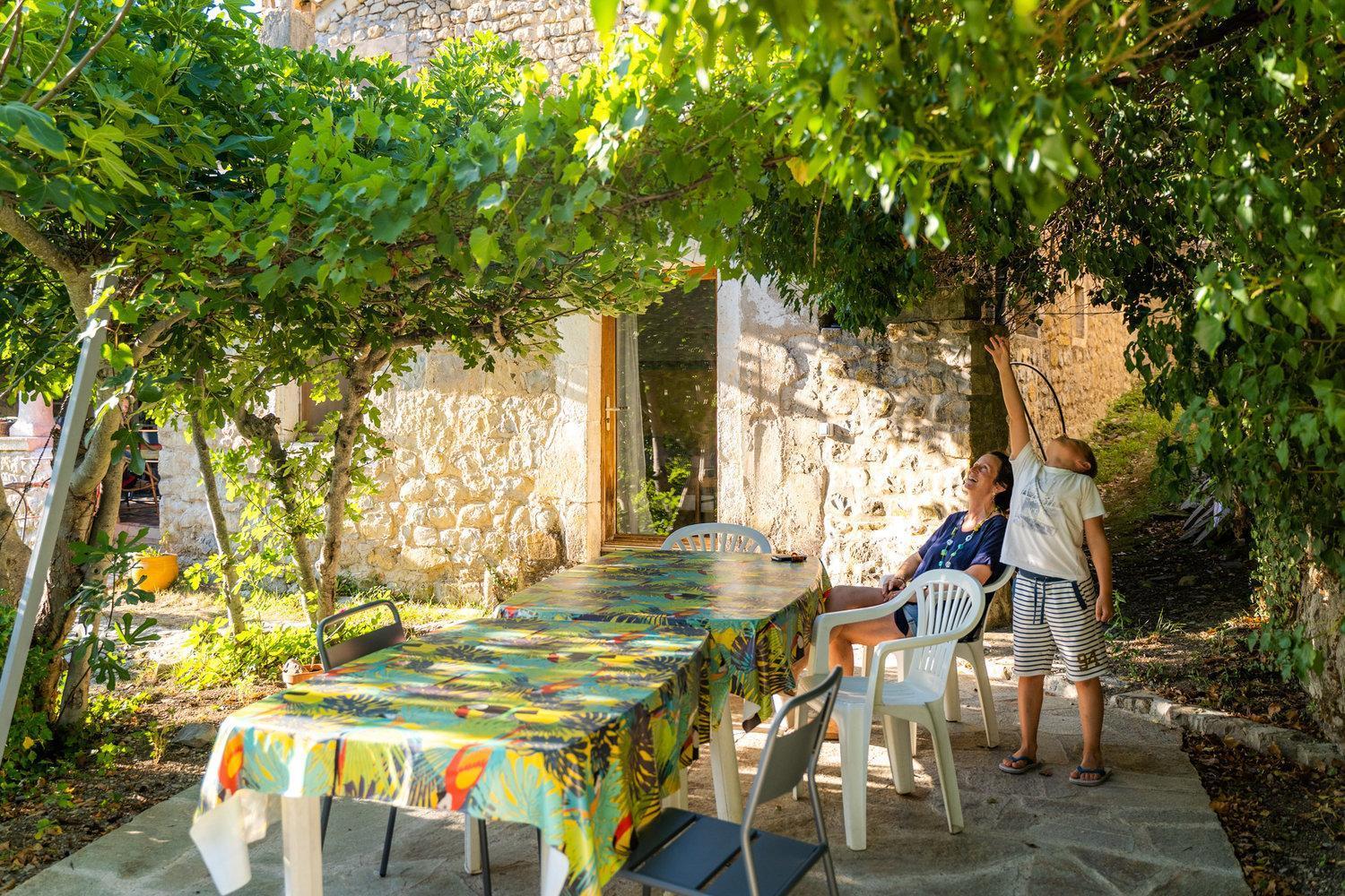 Gites Du Domaine De Serre Long Saint-Maurice-dʼIbie エクステリア 写真