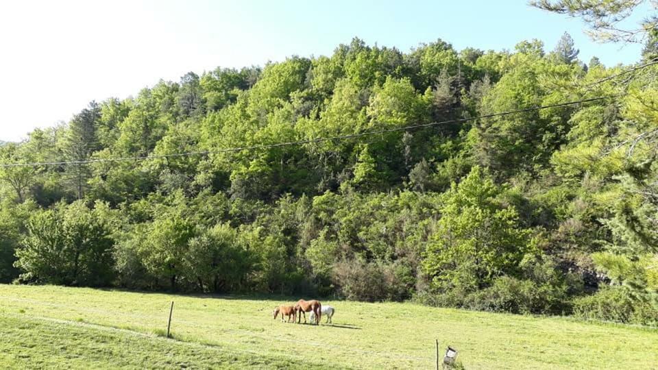 Gites Du Domaine De Serre Long Saint-Maurice-dʼIbie エクステリア 写真